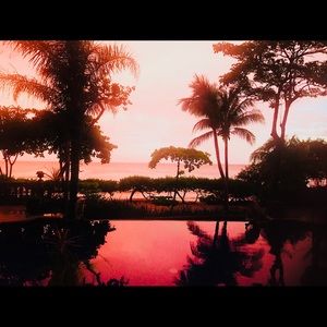 Meet your Posher, Dawn